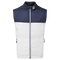 Navy / White
